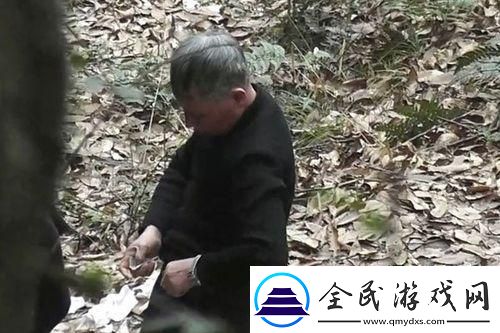 绿野仙踪里的另类买卖