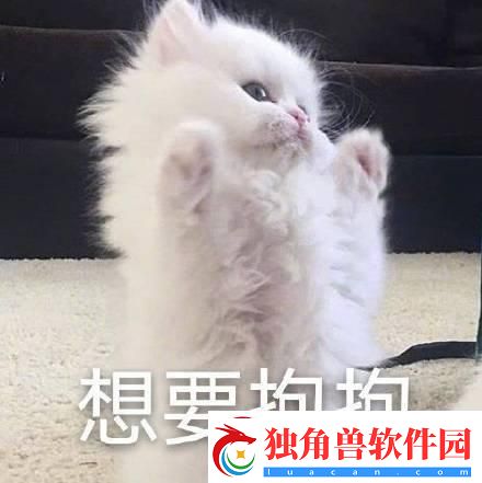 **焚身
