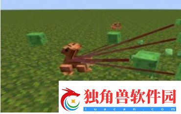 我的世界青蛙有什么用-我的世界青蛙用途介绍