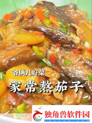 茄子最汅api免费下载安装