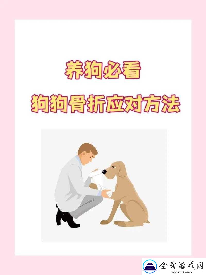 狗卡私处怎么办：实用应对指南