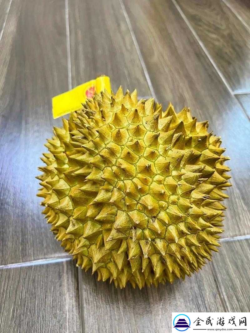 榴莲app