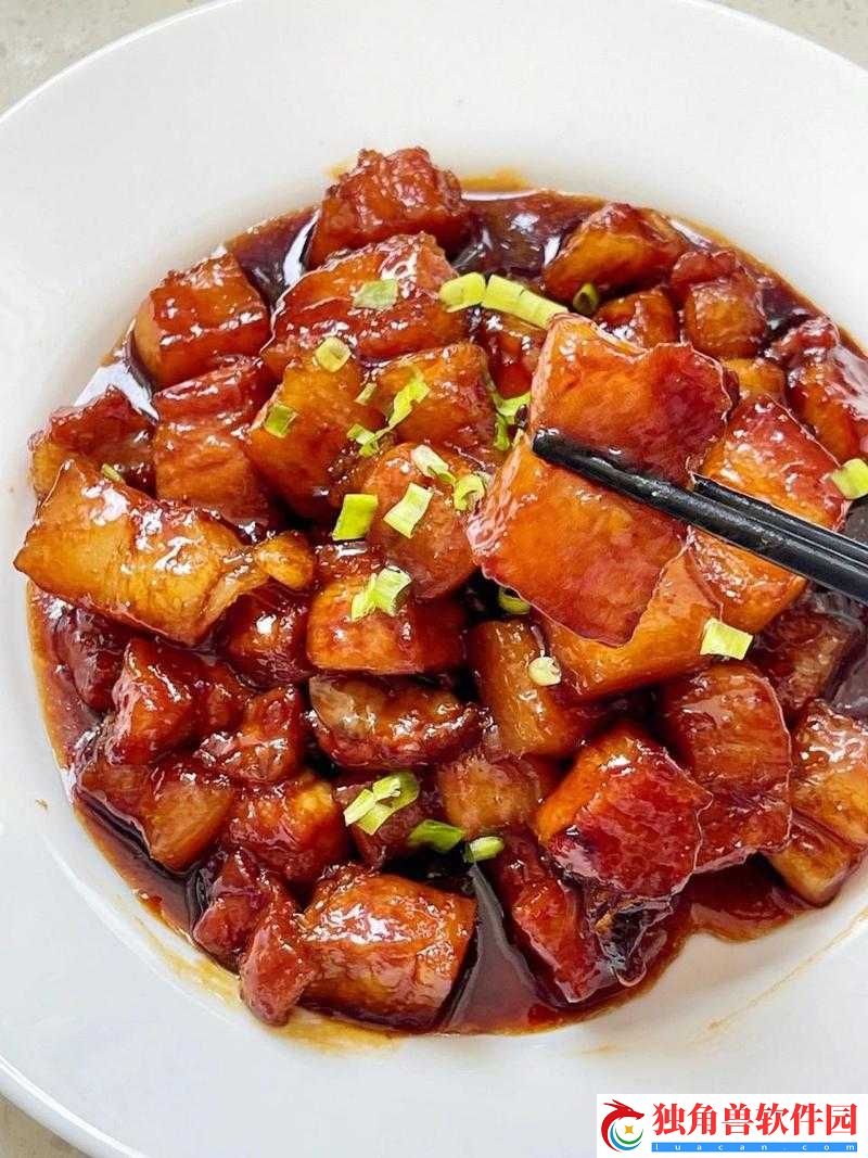 独占-1V1-冰糖炖五花肉：味蕾的极致享受