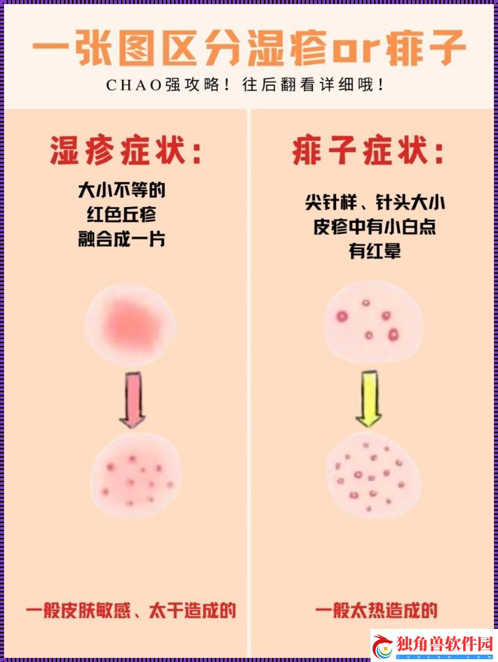 “网海探秘