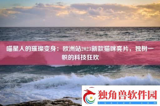 喵星人的璀璨变身