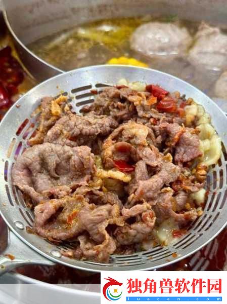 幻塔红烧肉烹饪秘籍解锁美味与力量的双重享受