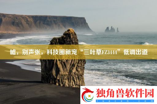 嘘-别声张-科技圈新宠“三叶草FZ3444”低调出道