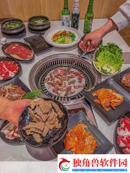 幻塔红烧肉烹饪秘籍解锁美味与力量的双重享受