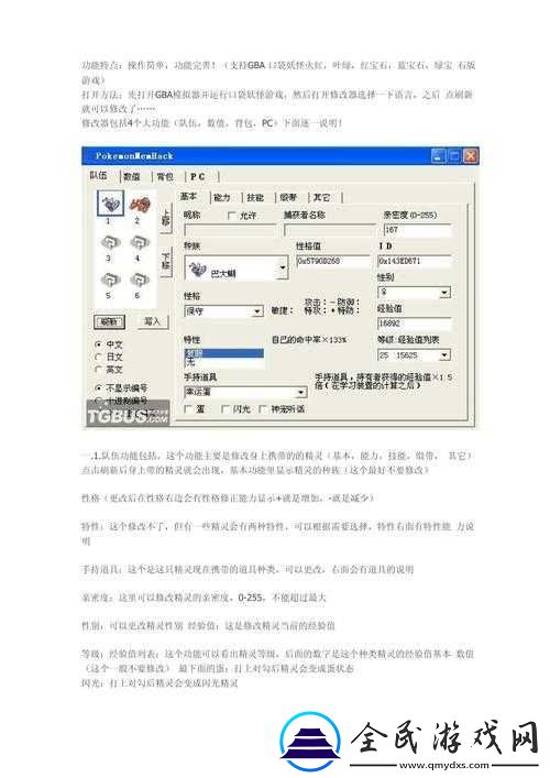 口袋妖怪-GBA：装备强化攻略
