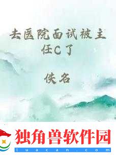 去医院面试被院长弄了