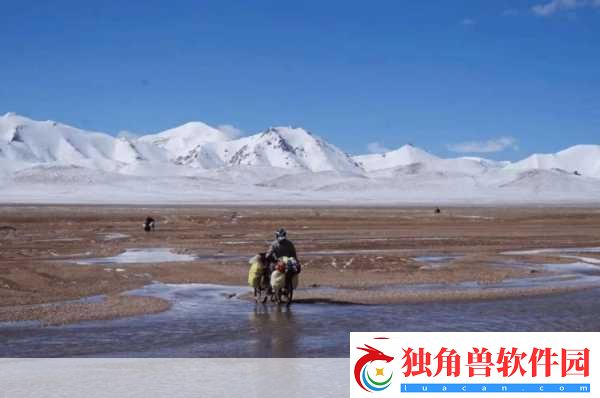 无人区探险