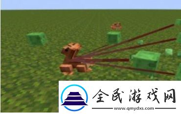 我的世界青蛙有什么用-我的世界青蛙用途介绍