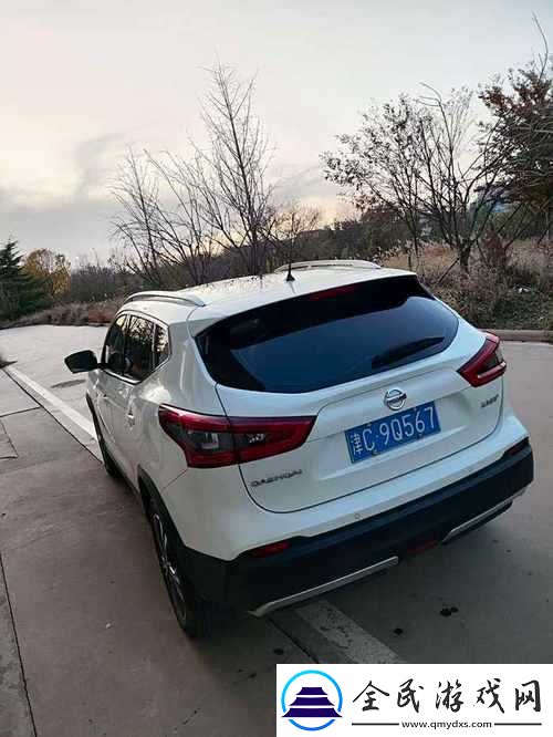 探索OG日产精品一卡