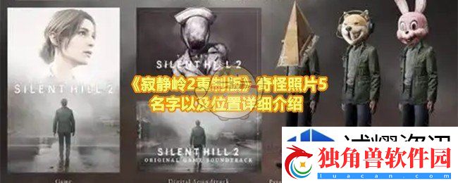 高效资源管理