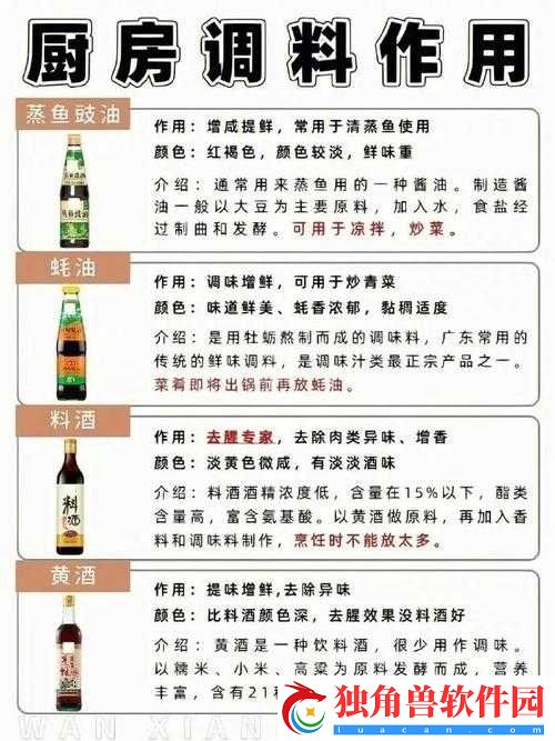 洪兴传说生肖装备合成指南及作用解析