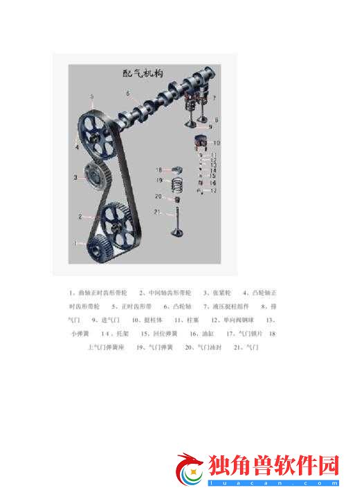 性别自由凸轮与凸轮图片相关内容