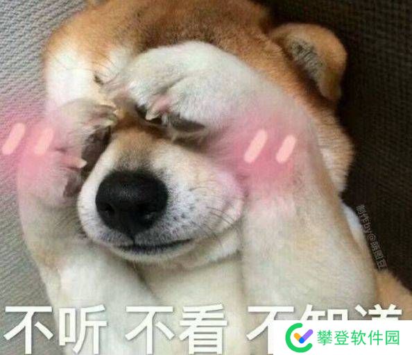 本站