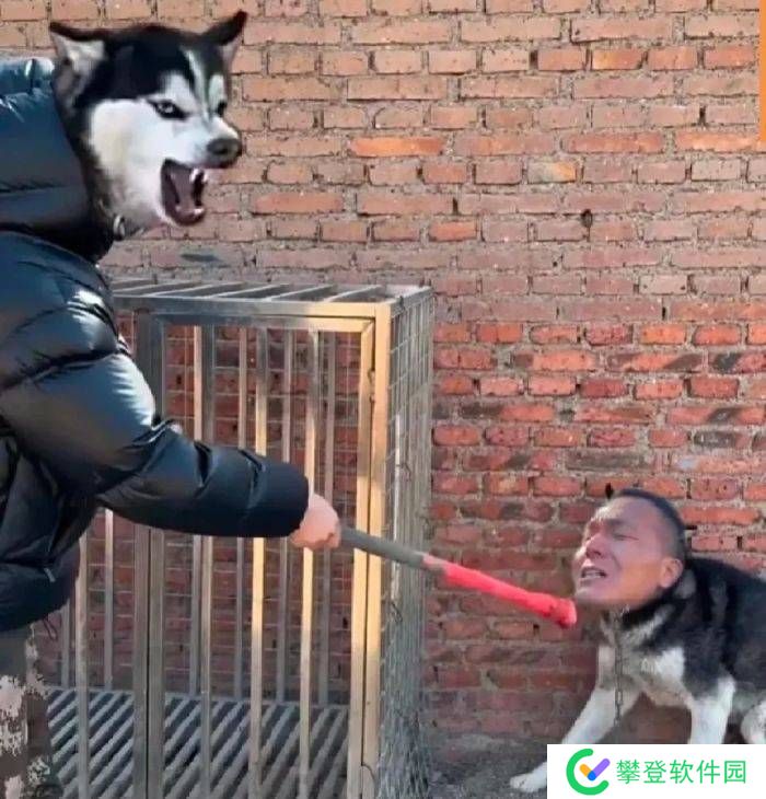 本站