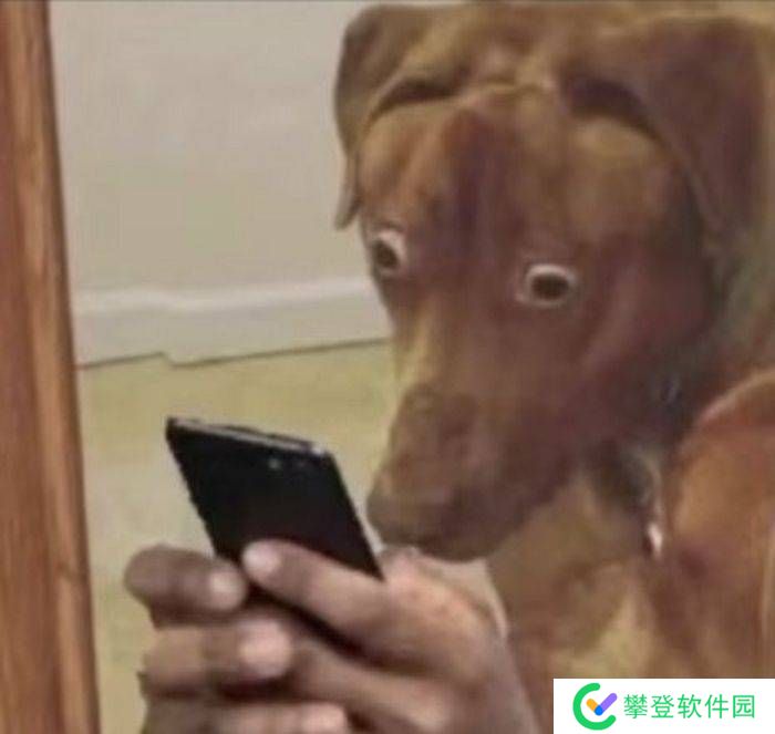 本站
