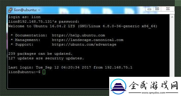 “Linux虚拟机-码动天下：一指禅的狂欢”
