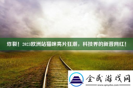 炸裂！2023欧洲站猫咪亮片狂潮科技界的新晋红！