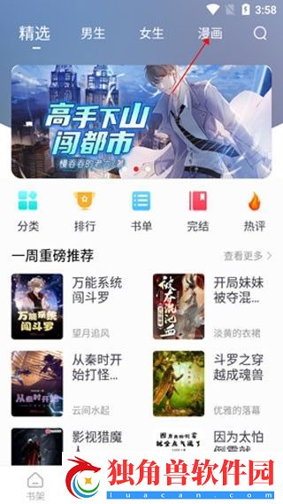追书大师