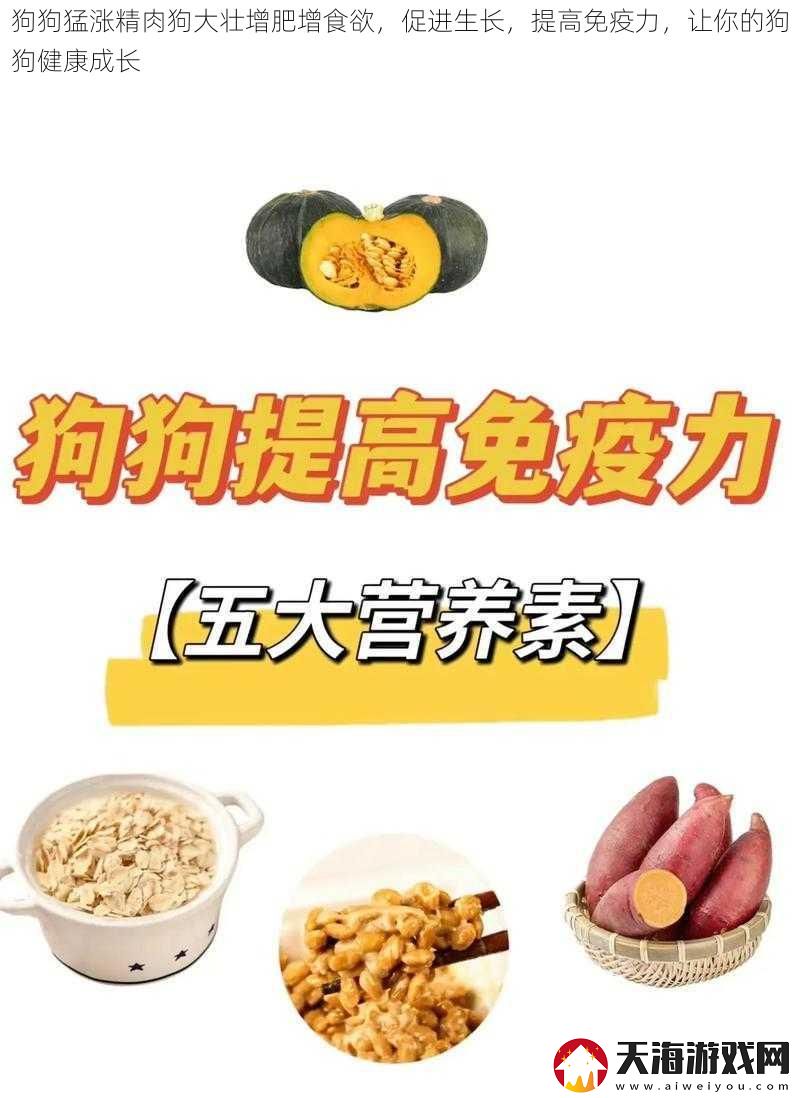 狗狗猛涨精肉狗大壮增肥增食欲