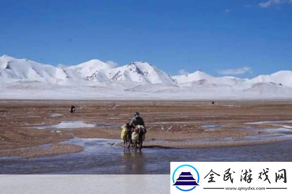 无人区码卡二卡3卡4卡变态