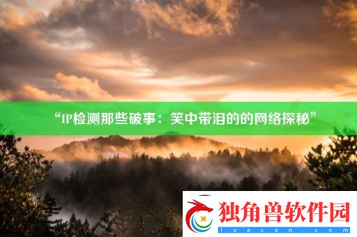 “IP检测那些破事：笑中带泪的的网络探秘”