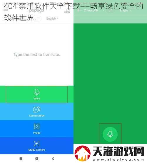 404-禁用软件大全下载——畅享绿色安全的软件世界