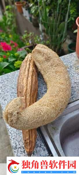 草莓丝瓜芭乐鸭脖