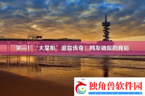 笑cry！‘大掌柜’退款传奇：网友调侃的背后