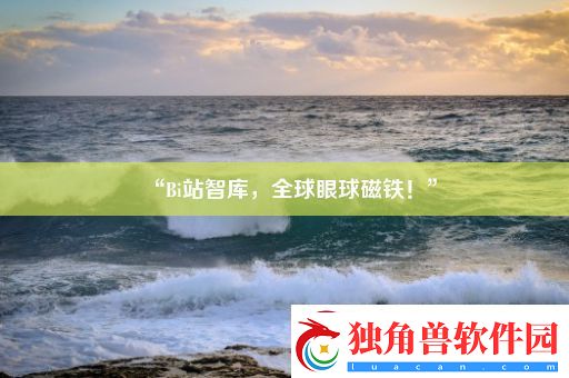“Bi站智库