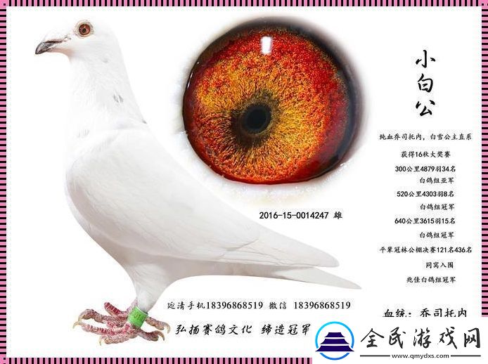 Ggy2022鸽子小白：科技界的“惊喜”连连看