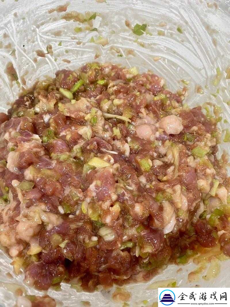 授课方式肉馅小水饺晋骨：美味制作教程