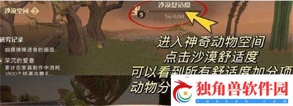哈利波特魔法觉醒如何提高沙漠舒适度