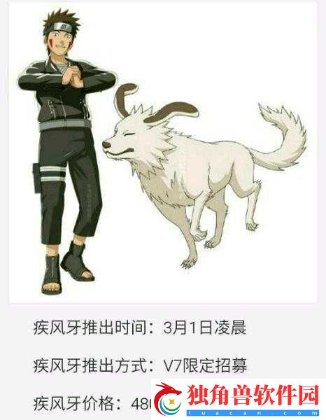 火影忍者手游新春限定犬冢牙实战攻略：决斗场技巧与玩法教学