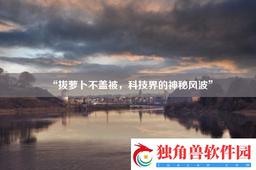 “拔萝卜不盖被-科技界的神秘风波”