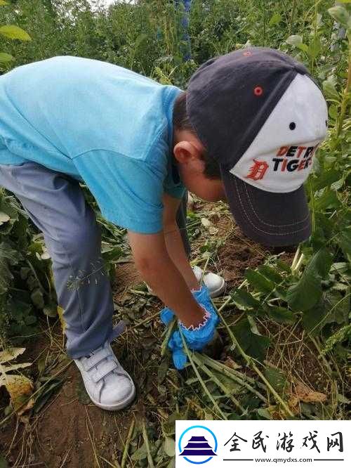 挤牛奶拔萝卜怎么拔：实用技巧与方法