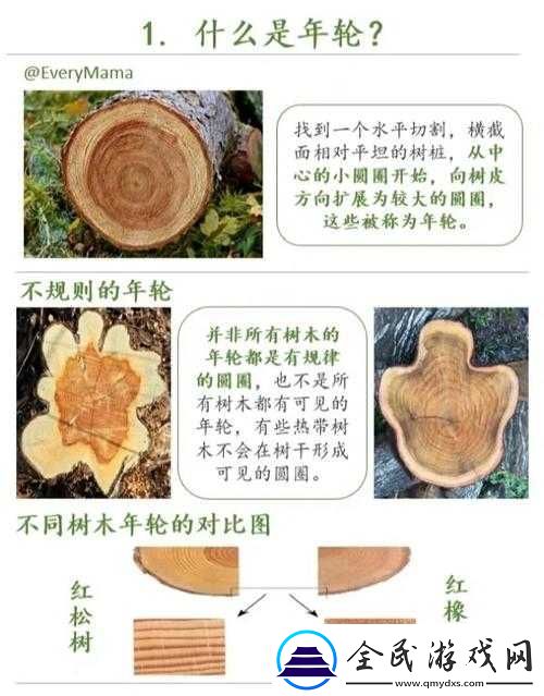 明日探秘