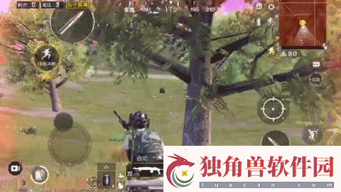 和平精英圣域宝箱在哪里
