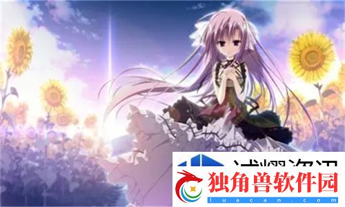 成品直播大全技巧与方法