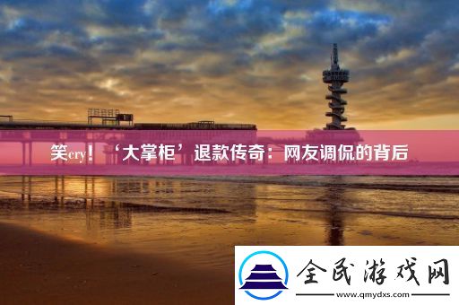 笑cry！‘大掌柜’退款传奇：网友调侃的背后