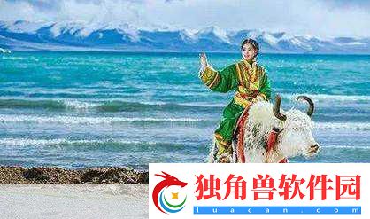 啪啪三国2异闻录-揭开独家鸡和马的神秘面纱