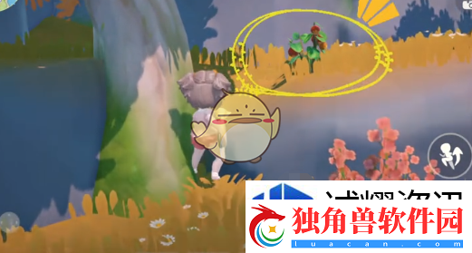 参加活动的最佳时机