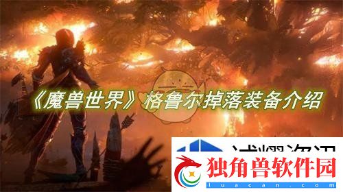 提高经济管理能力：魔兽世界格鲁尔掉落装备介绍