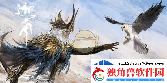 每日活动参与秘诀