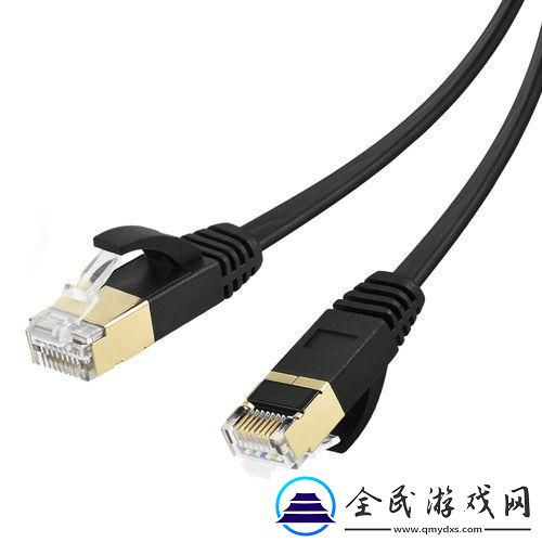 "78m神秘网线：网友争辩的新宠儿"