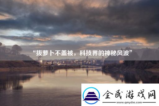 “拔萝卜不盖被科技界的神秘风波”