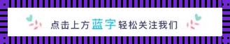 锵锵潮头站凄切科技范儿
